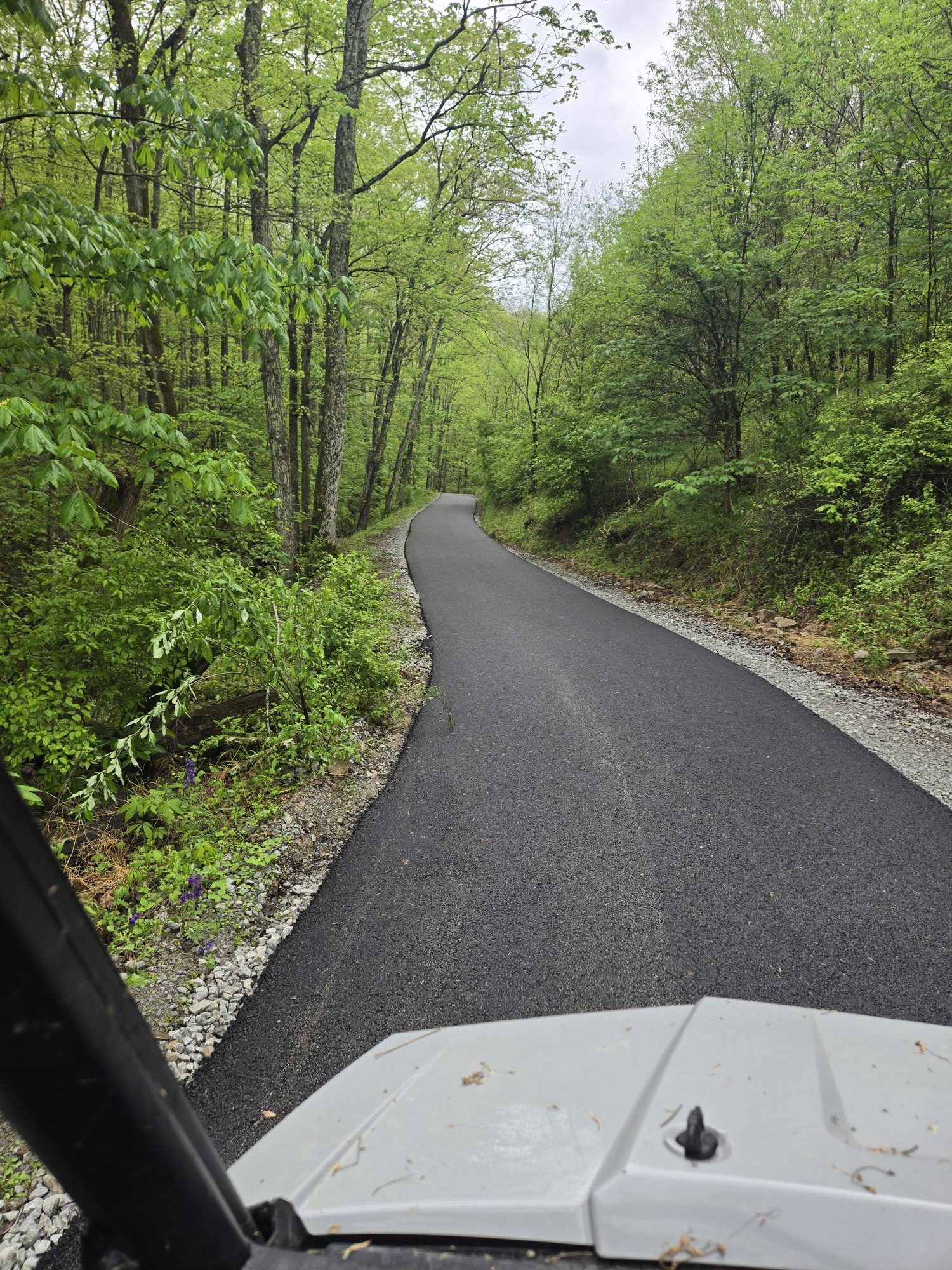Minton Lodge driveway after paving